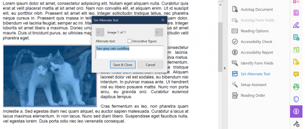 Screenshot of Lorem Ipsum PDF file