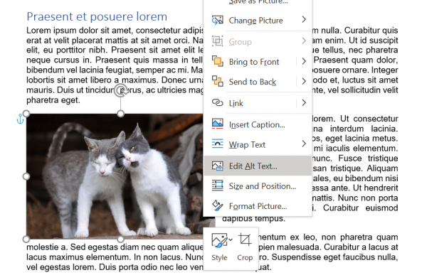 Screenshot of Lorem Ipsum Word file